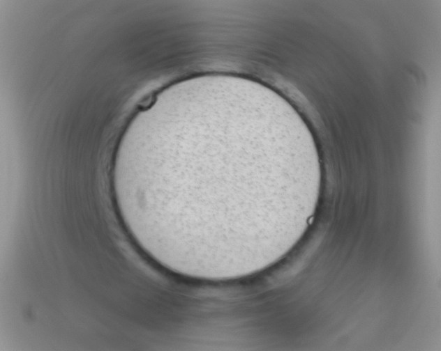 X0000113610625200910161930