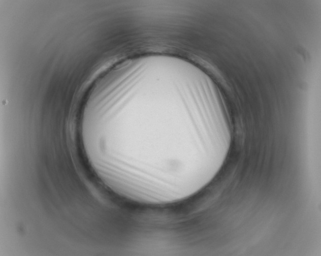 X0000113610626200910161930