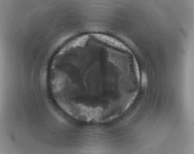 X0000113610627200910161930