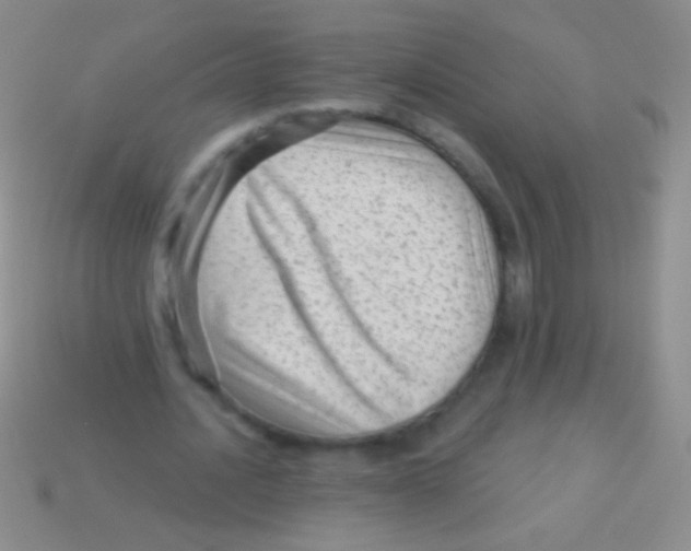 X0000113610628200910161930