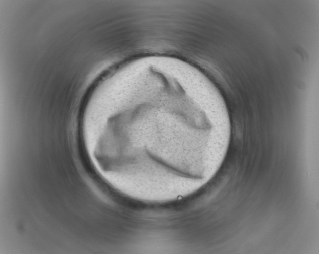 X0000113610630200910161930