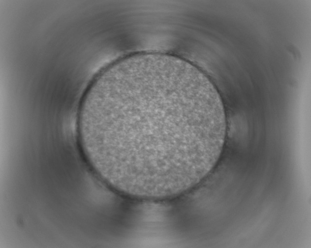 X0000113610632200910161930