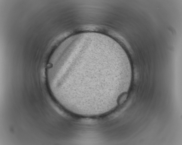 X0000113610633200910161930