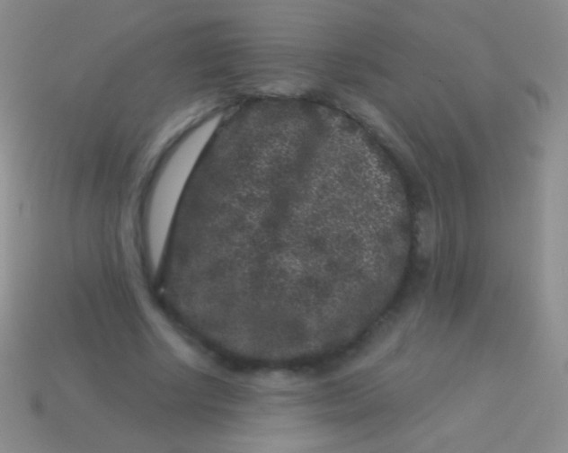 X0000113610634200910161930