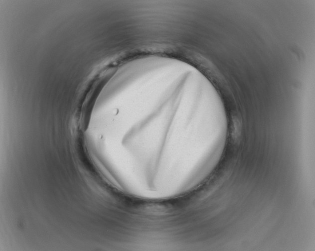 X0000113610636200910161930