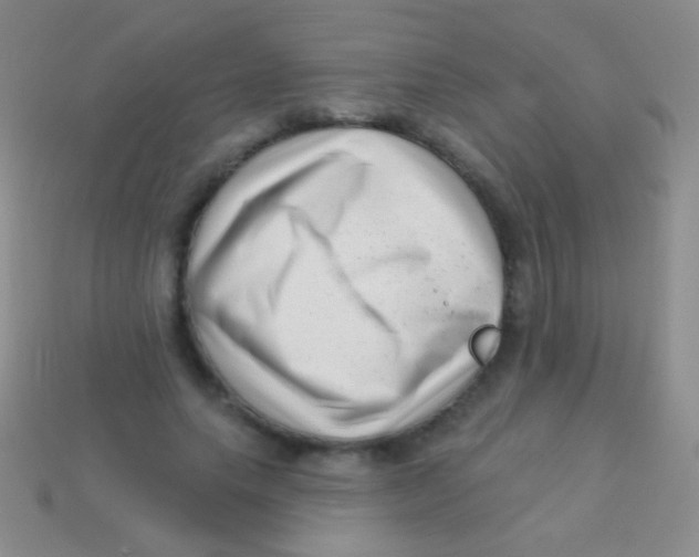 X0000113610639200910161930