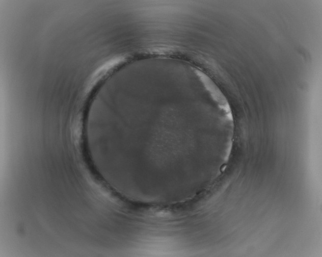 X0000113610640200910161930