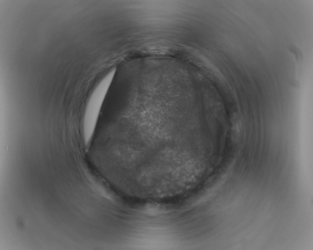 X0000113610641200910161930