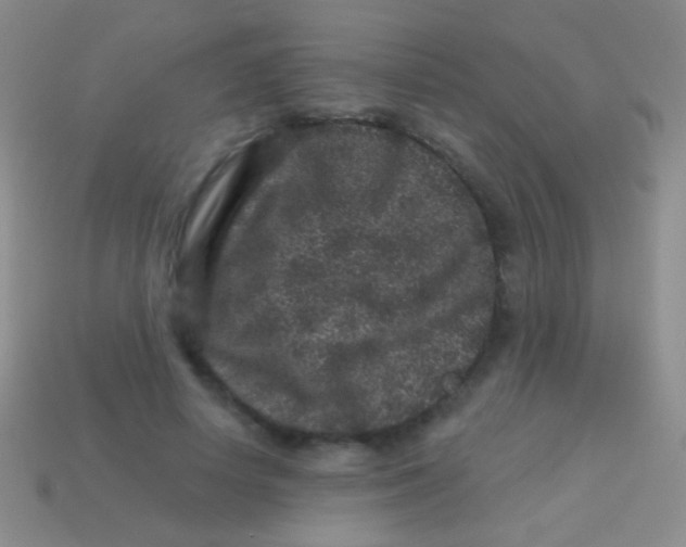 X0000113610642200910161930