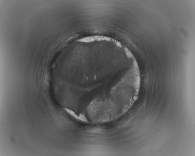 X0000113610643200910161930