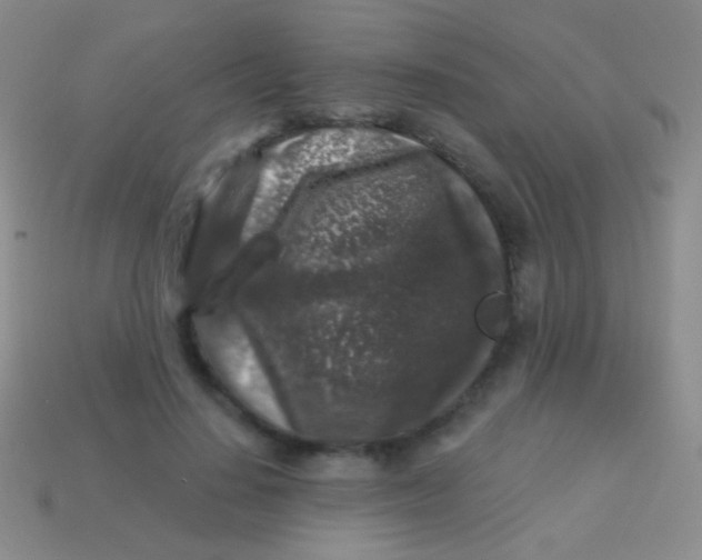 X0000113610644200910161930