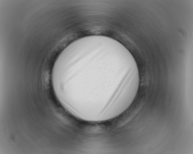 X0000113610646200910161930