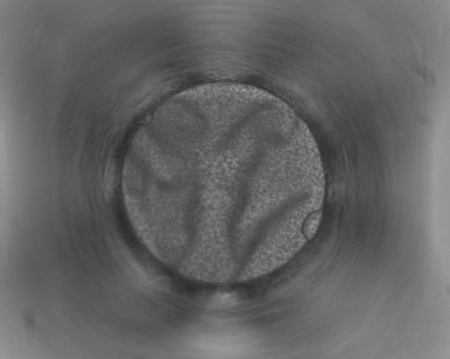 X0000113610647200910161930