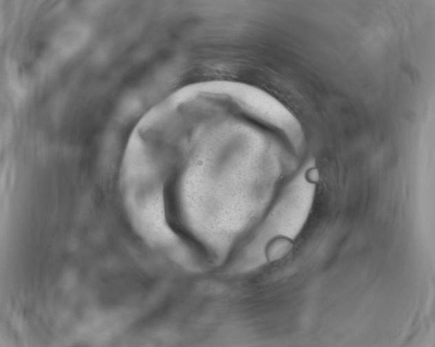 X0000113610649200910161930