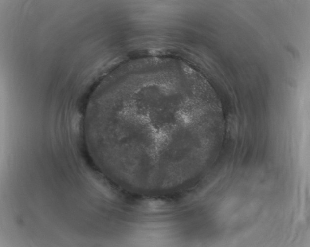 X0000113610650200910161930