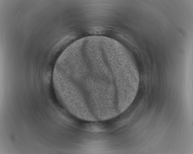 X0000113610652200910161930