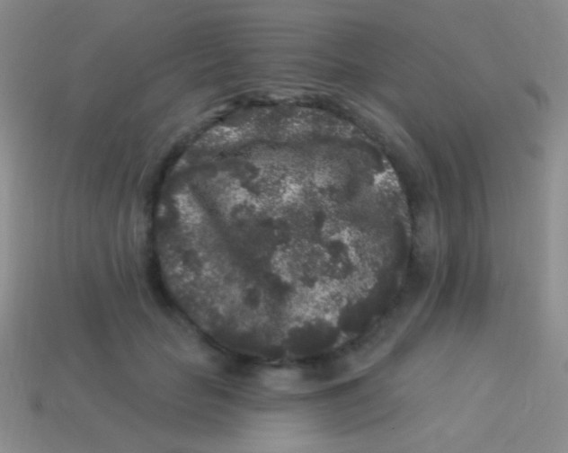 X0000113610653200910161930