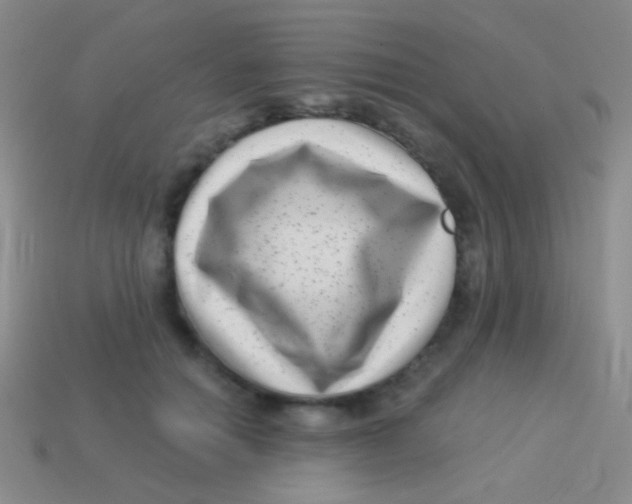 X0000113610654200910161930