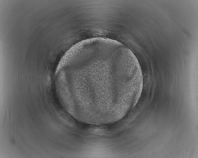 X0000113610655200910161930