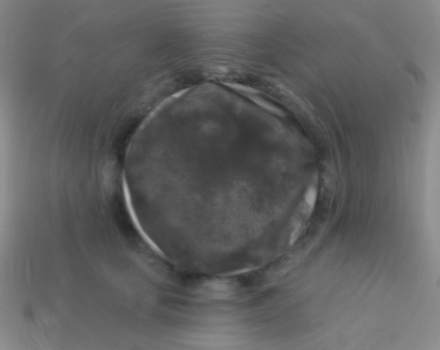 X0000113610659200910161930