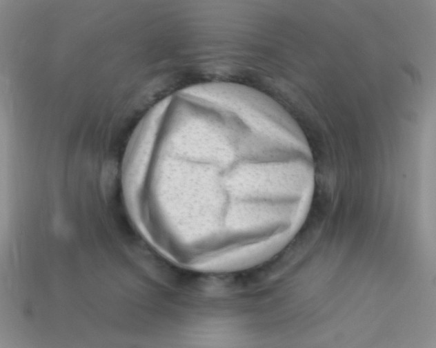 X0000113610660200910161930