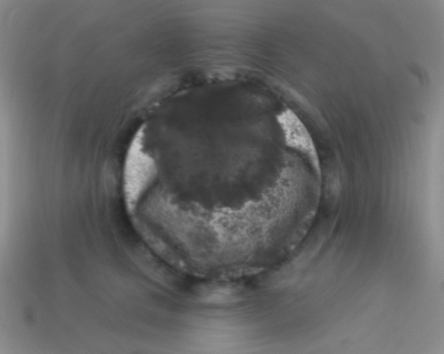 X0000113610661200910161930