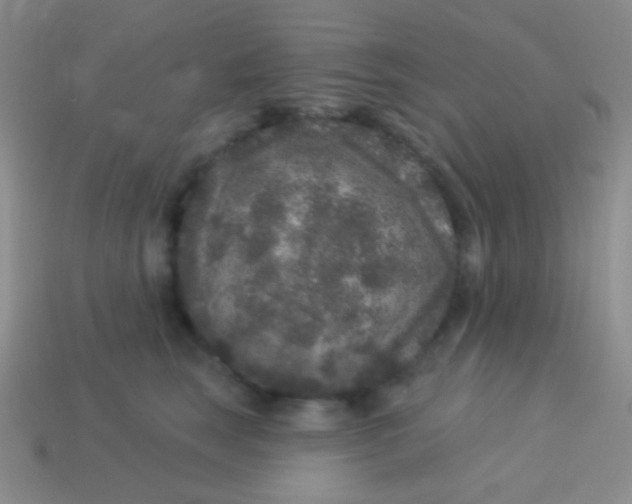 X0000113610663200910161930