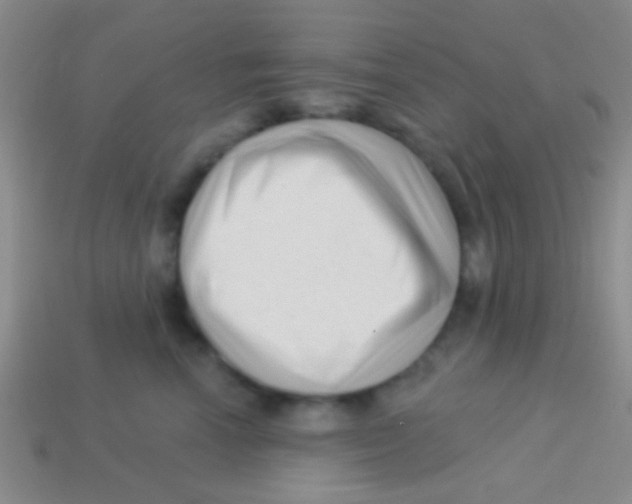 X0000113610666200910161930