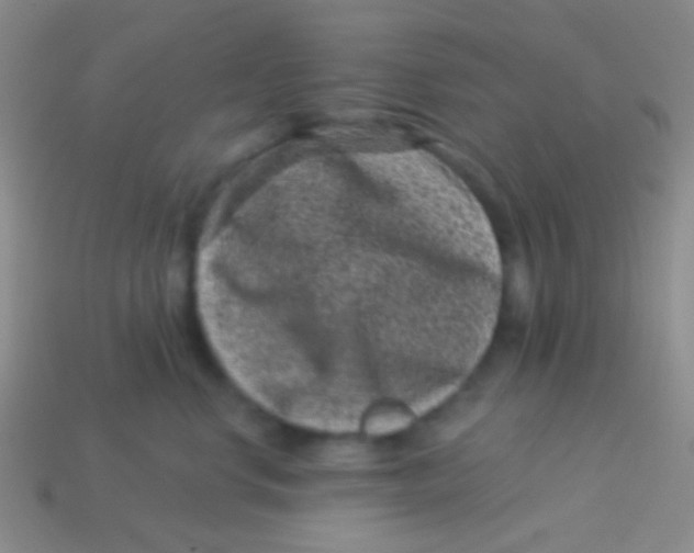 X0000113610668200910161931