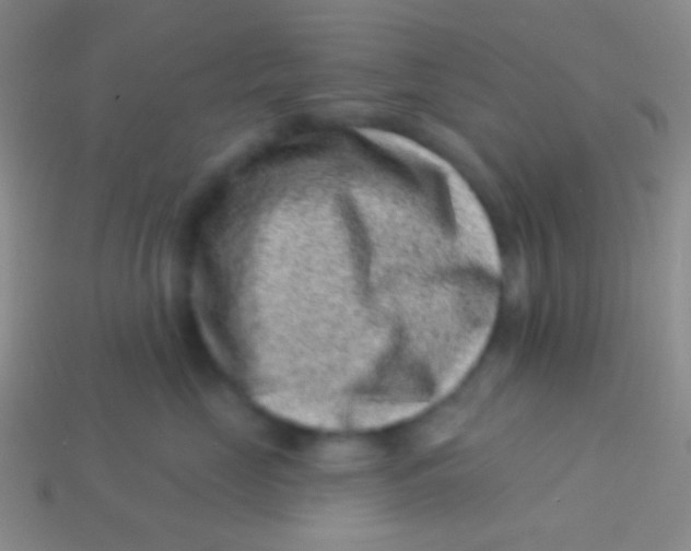 X0000113610669200910161931