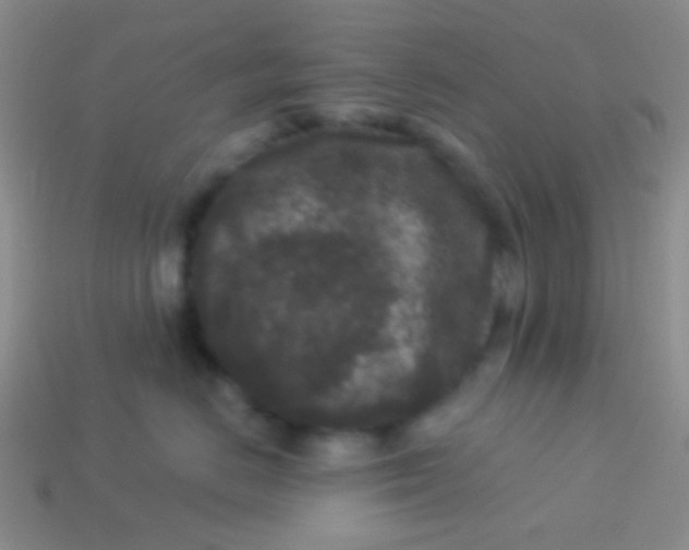 X0000113610670200910161931