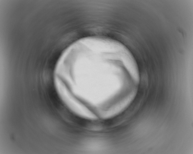 X0000113610671200910161931