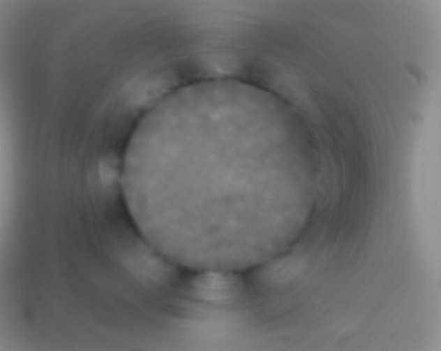 X0000113610672200910161931