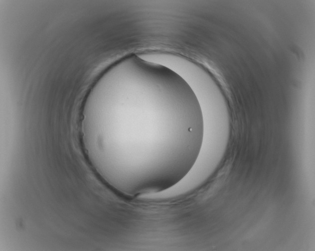 X0000113610673200910161930