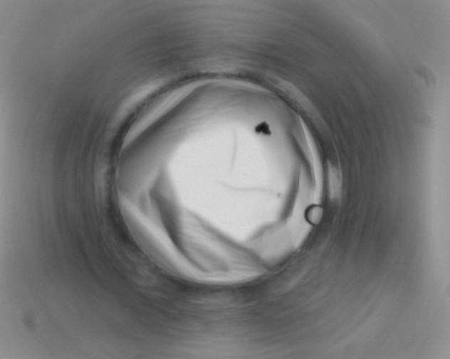 X0000113610675200910161930