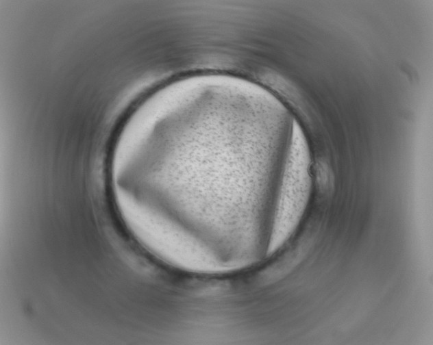 X0000113610676200910161930