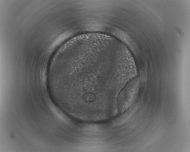 X0000113610677200910161930