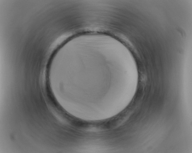 X0000113610678200910161930