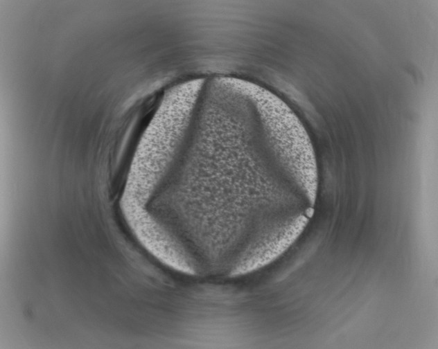 X0000113610681200910161930