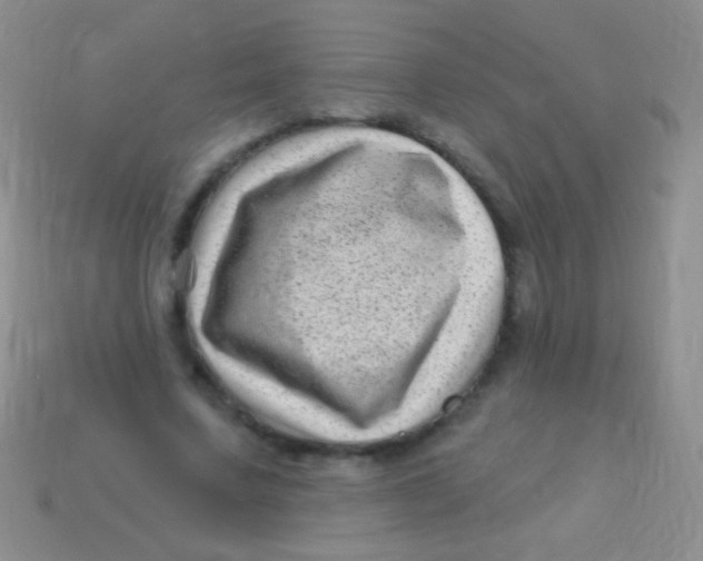 X0000113610683200910161930