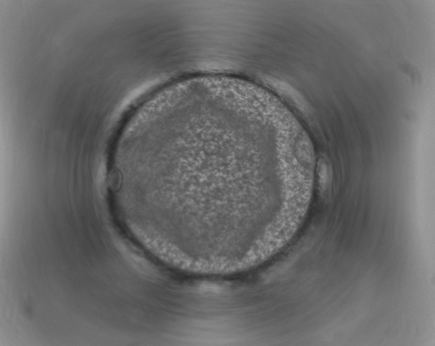 X0000113610684200910161930