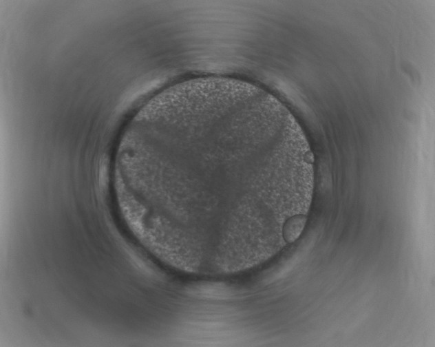 X0000113610685200910161930