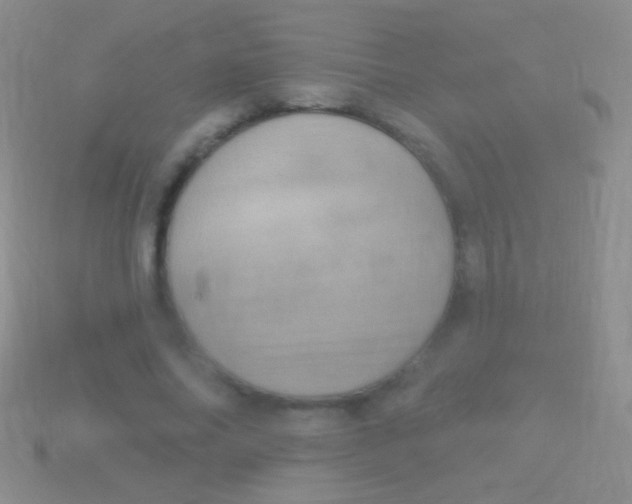 X0000113610686200910161930