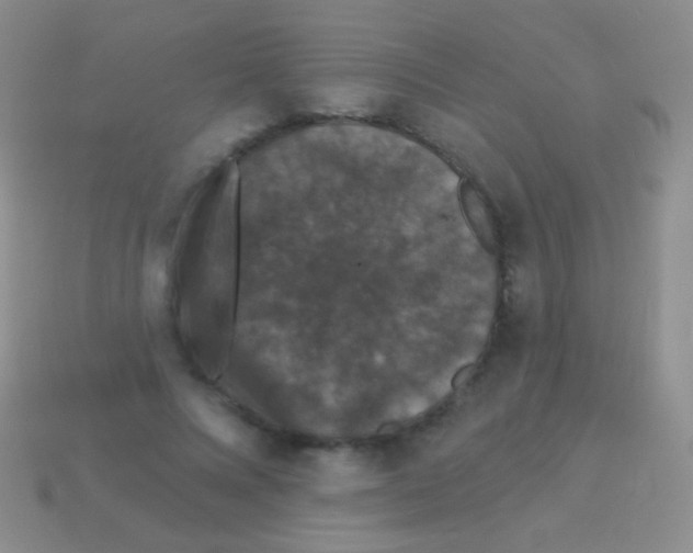 X0000113610688200910161930