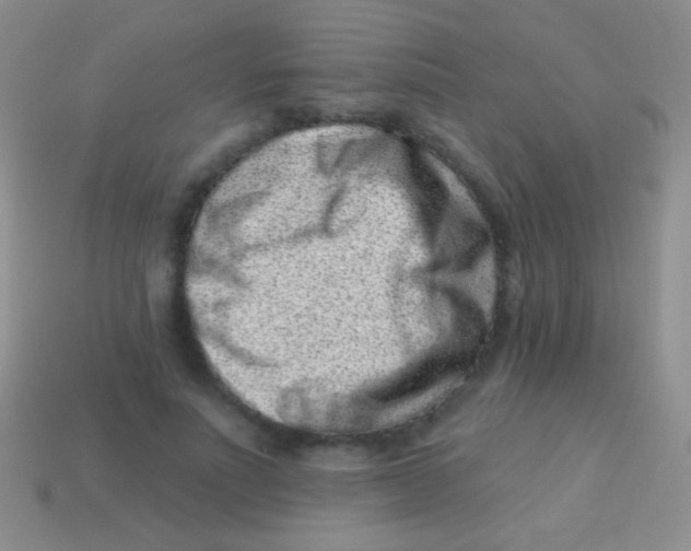 X0000113610691200910161930