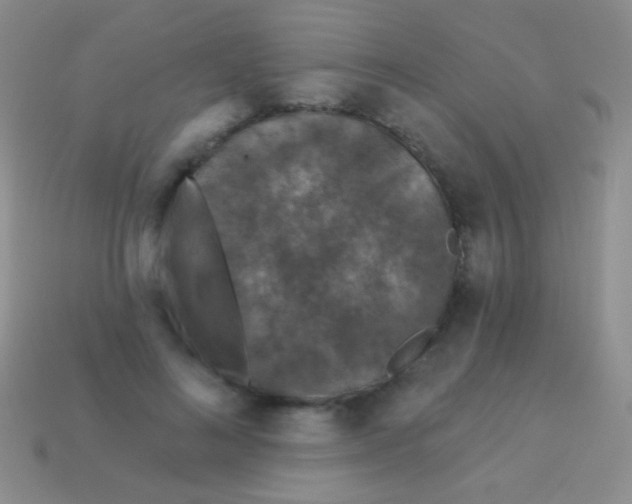 X0000113610692200910161930