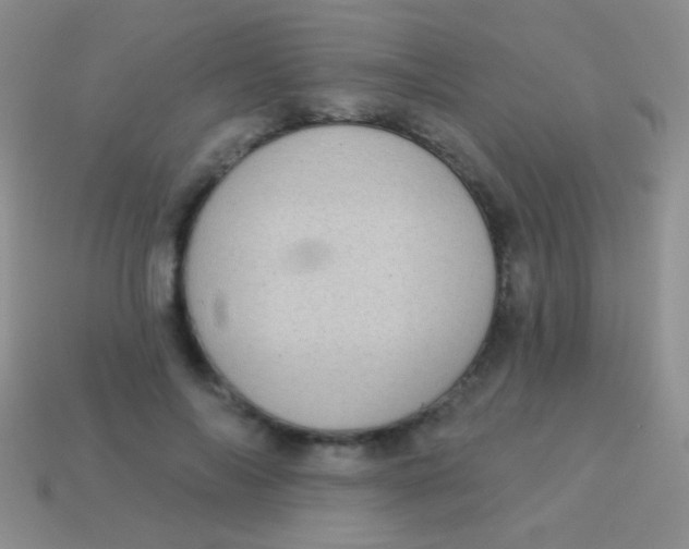 X0000113610694200910161930