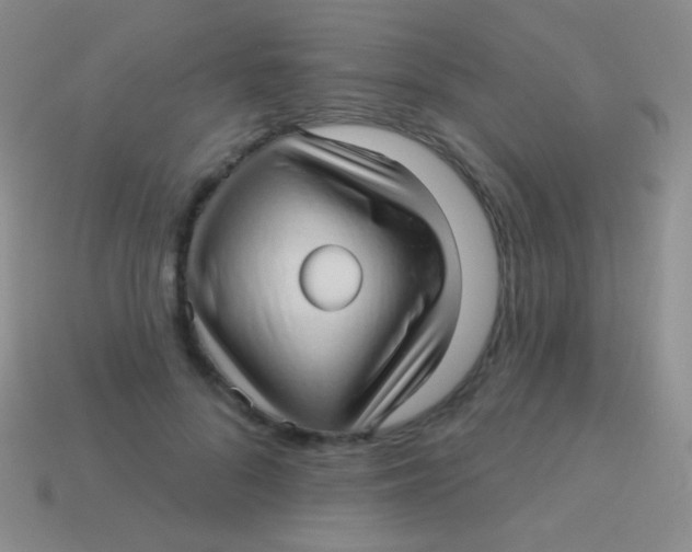 X0000113610696200910161930