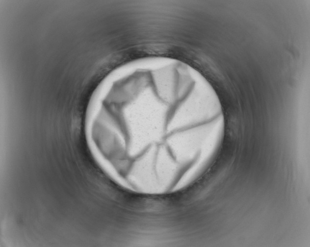 X0000113610697200910161930