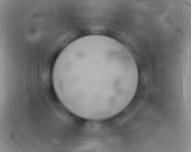 X0000113610698200910161929